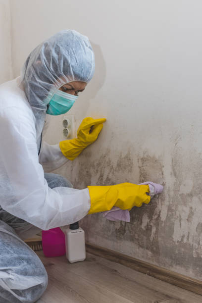 Best Mold Prevention Services  in Seth Ward, TX
