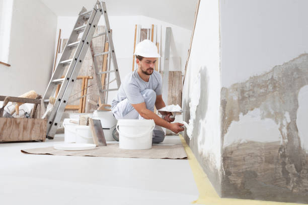 Best Attic Mold Removal  in Seth Ward, TX