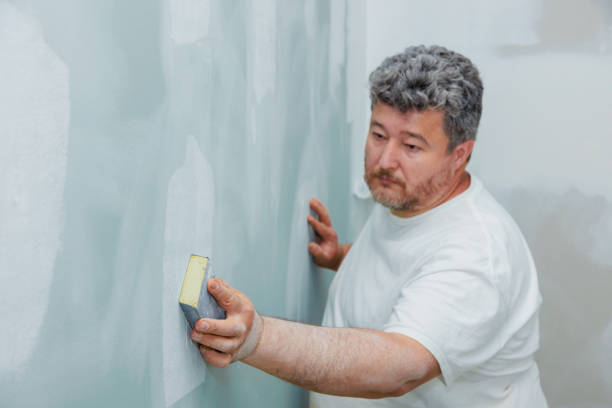 Best Comprehensive Air Testing for Mold Contaminants  in Seth Ward, TX