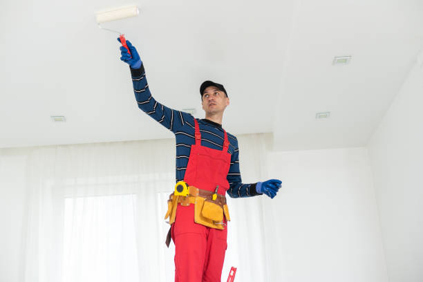 Best Mold Remediation for Healthcare Facilities  in Seth Ward, TX
