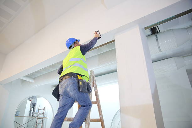 Trusted Seth Ward, TX Mold Removal Experts
